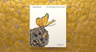 Cover of the book Daniel Brush. The Art of Line and Light 