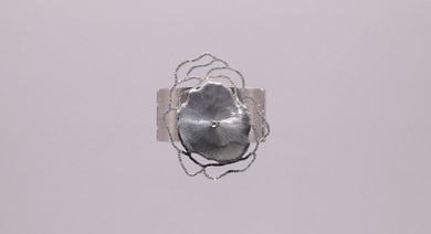 Online Talk exhibition Daniel Brush 