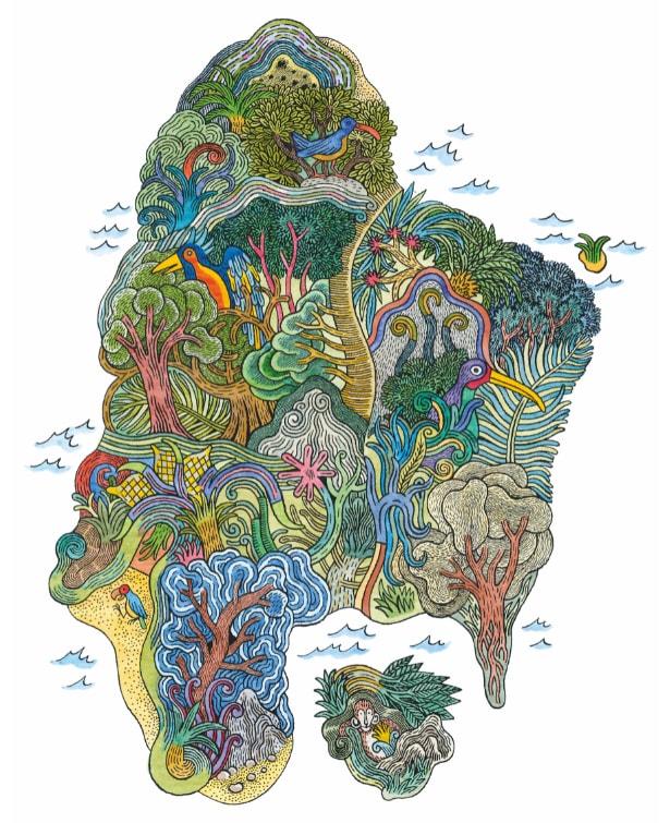 Illustration of Treasure Island by David B. 