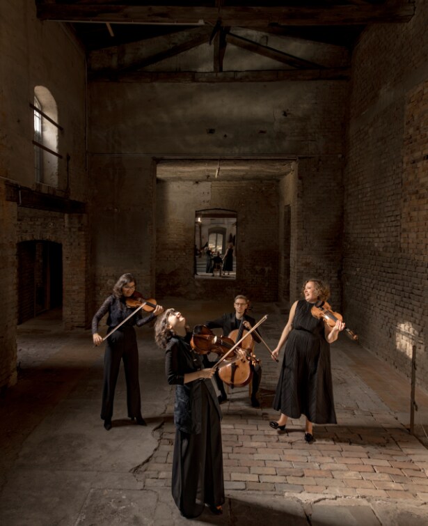 Chaos String Quartet