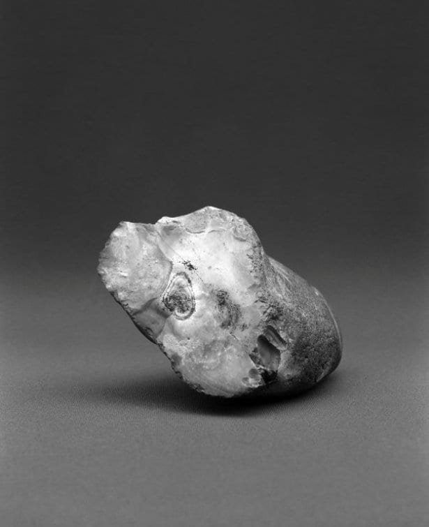 Silex in black and white