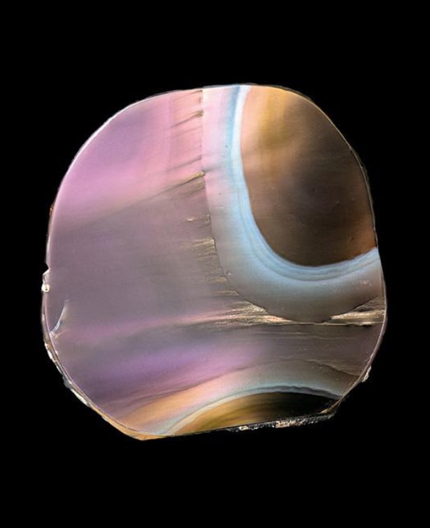 Obsidienne iridescente, ​  probablement La Revoltosa (Jalisco, Mexique), plaque épaisse, sciée et polie à l’avers, présentée avec l’orientation voulue par Caillois, 25 × 22 cm