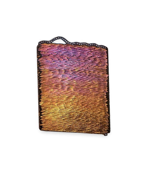 Daniel Brush, Thinking about Monet collection, 2020.​