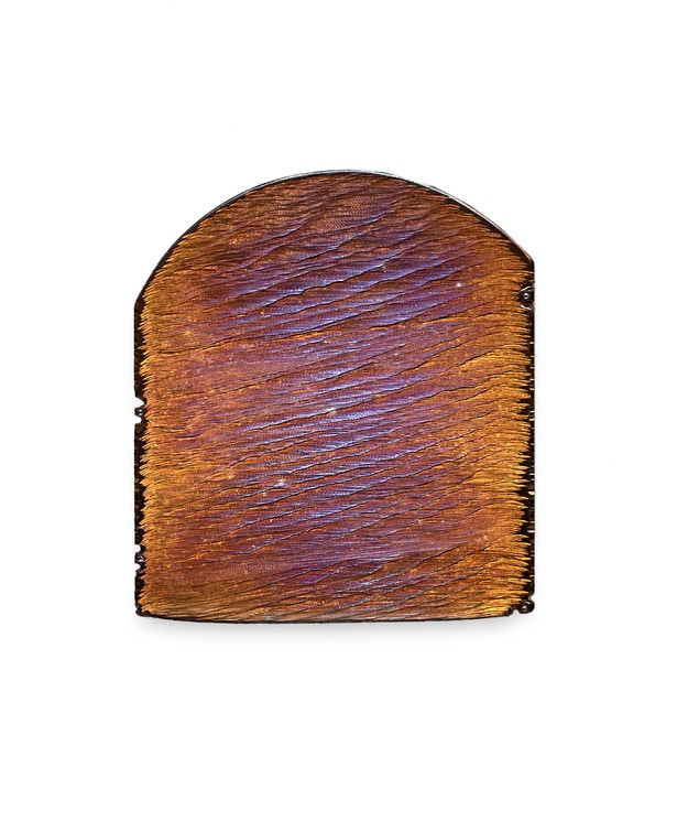 Daniel Brush, Thinking about Monet collection, 2020.​