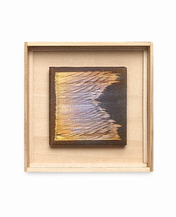 Daniel Brush, Thinking about Monet collection, 2020.​