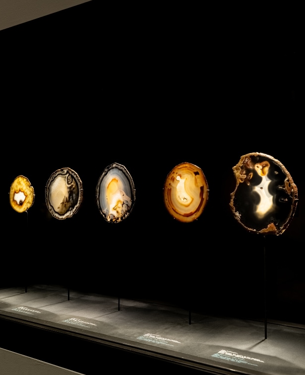 Exhibition Stones and Reveries