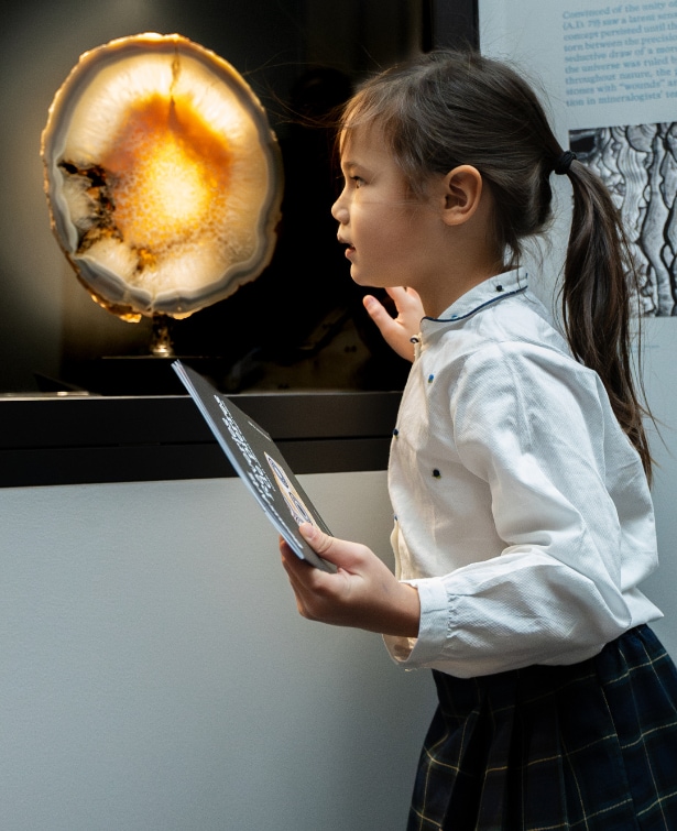 Exhibition Stones and Reveries