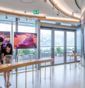 Exhibition 'Discover the Gemstones, Ruby & Sapphire.jpg