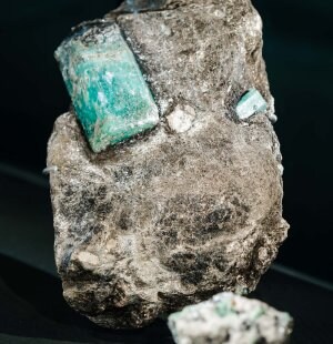 LÉCOLE Middle East, Exhibition “Garden of Emeralds"