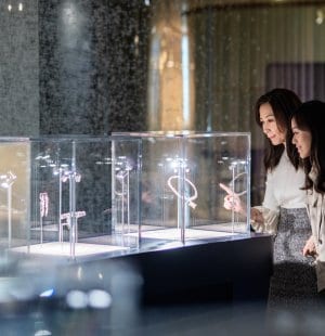 Scenography, An Eye for Beauty, the Illuminata Jewelry Collection, L’ÉCOLE School of Jewelry Arts.jpg