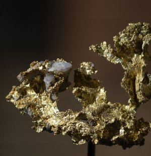Gold specimen with quartz  L'ÉCOLE Collection