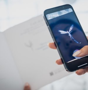 Wonders of L'ECOLE, Fairy AR