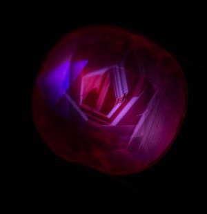 Red Hot Ruby, Ruby, Discover the Gemstones, L’ÉCOLE , School of Jewelry Arts, Singapore, Les Jardins Secret byVan Cleef & Aprels