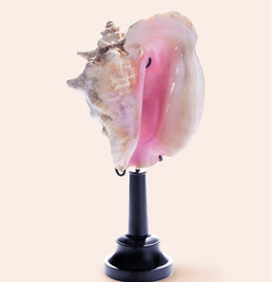 Gemology Pearls