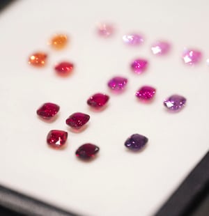 Discovery Course Series Red Gems