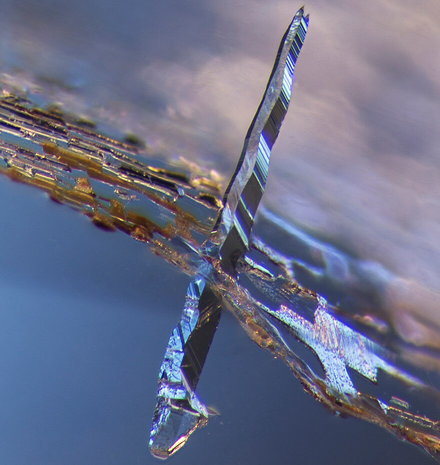 Photo - E. Billie Hughes - Lotus Gemology - A-001-6390