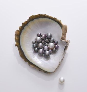 L'ÉCOLE - Pearl, History, Science and Legends (1).jpg