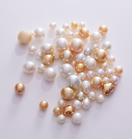 Pearl Reading Session