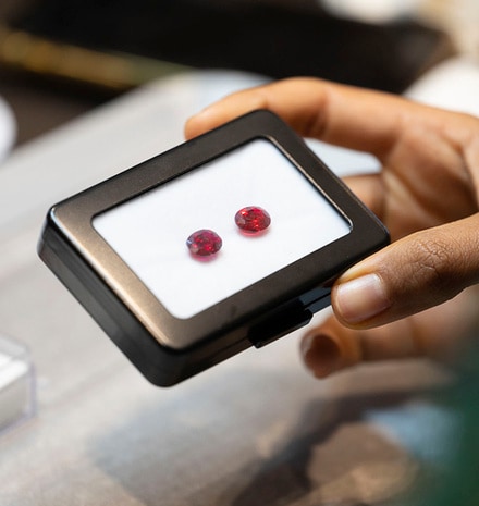 Discovery Course Series Red Gems
