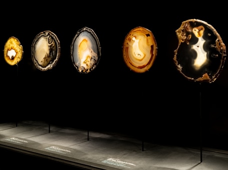 Exhibition "Stones and Reveries: Poetry and Minerals of Roger Caillois".