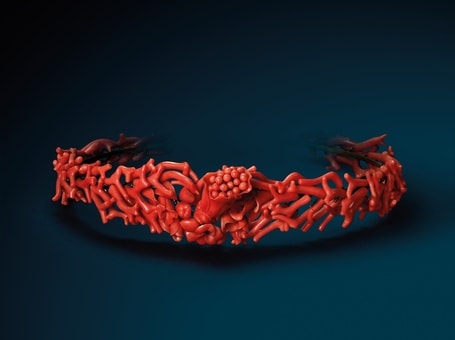 Precious coral tiara, Liverino museum (c) L'ECOLE - Nils Herrmann