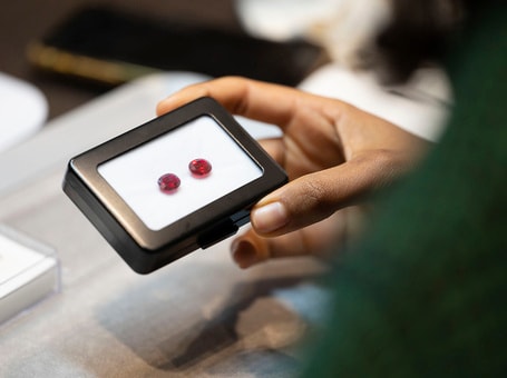 Discovery Course Series Red Gems